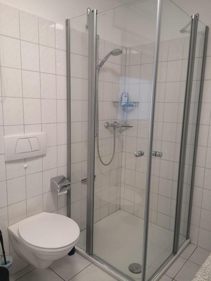 Helene Apartment Bad Sackingen Luaran gambar